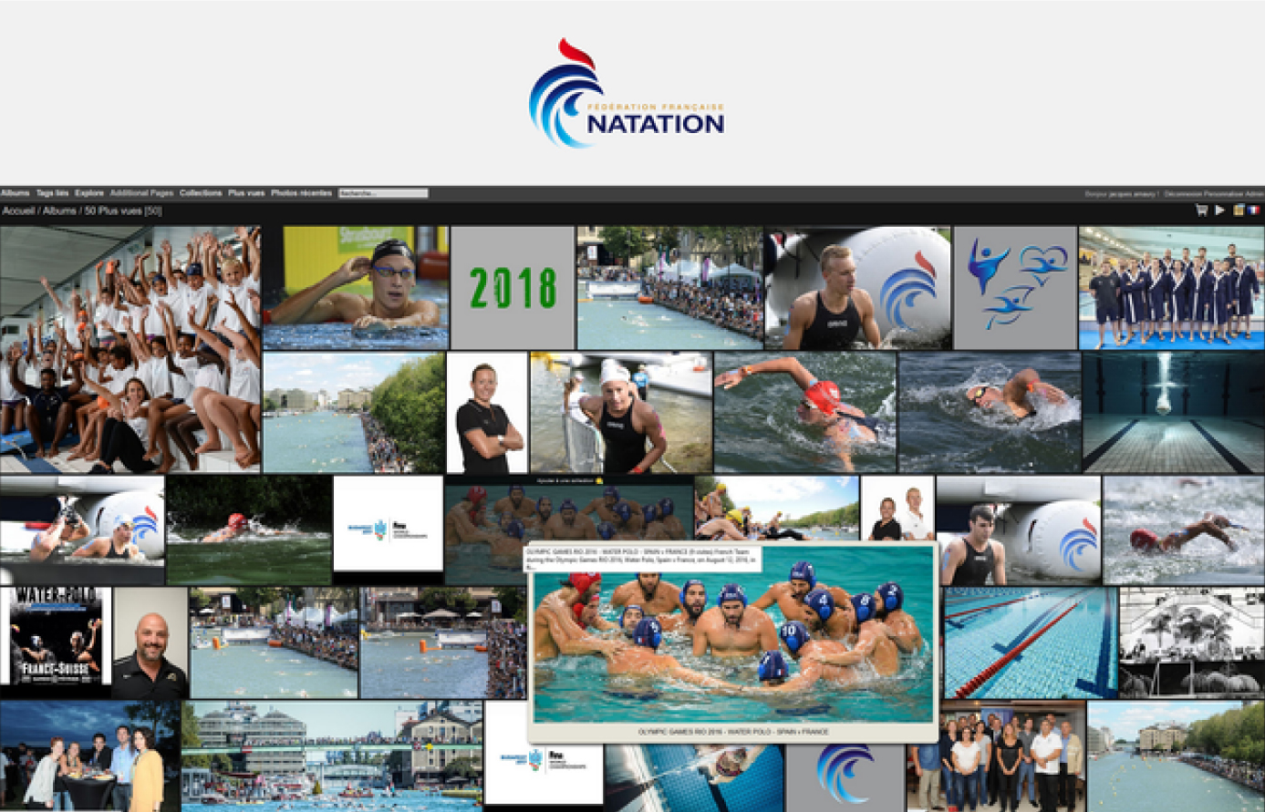 French swimming federation